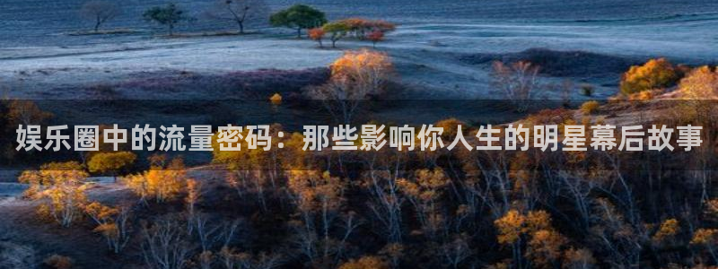 恒盛娱乐官网：娱乐圈中的流量密码：那些影响你人生的明星幕后故事