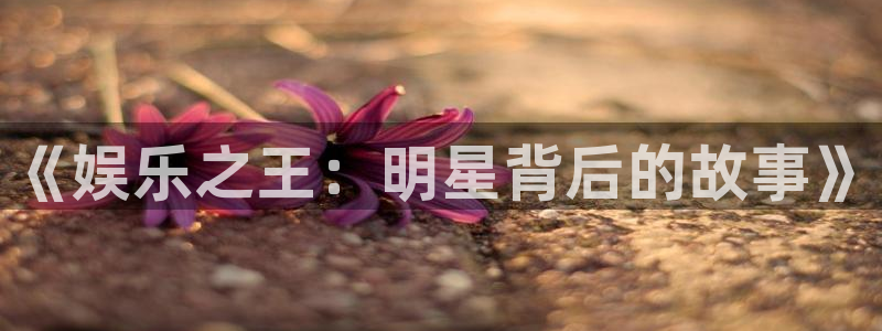 恒盛娱乐下载：《娱乐之王：明星背后的故事》