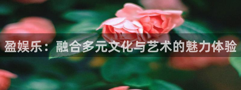 恒盛娱乐登录：盈娱乐：融合多元文化与艺术的魅力体验