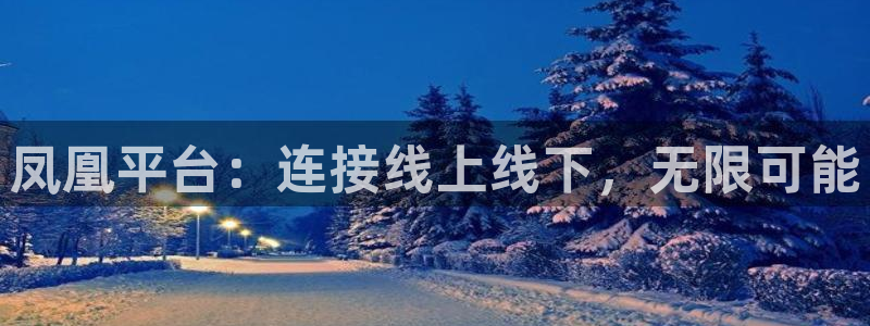 恒盛娱乐下载：凤凰平台：连接线上线下，无限可能