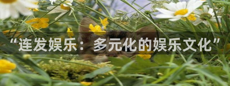 恒盛娱乐登陆：“连发娱乐：多元化的娱乐文化”