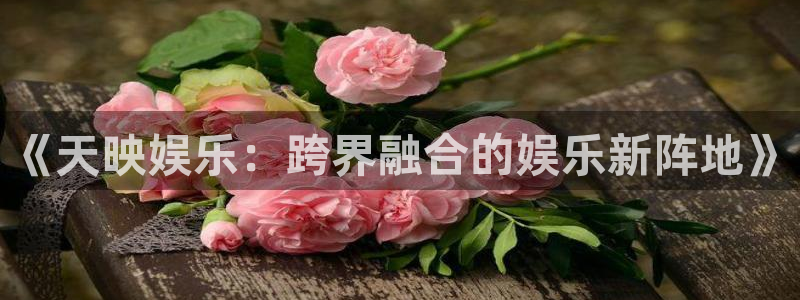 恒盛娱乐：《天映娱乐：跨界融合的娱乐新阵地》