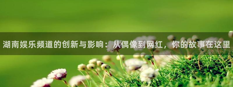 恒盛娱乐：湖南娱乐频道的创新与影响：从偶像到网红，你的故事在这里