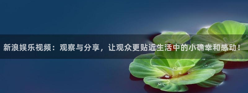 恒盛娱乐登录：新浪娱乐视频：观察与分享，让观众更贴近生活中的小确幸和感动！