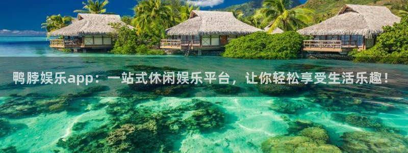 恒盛娱乐下载：鸭脖娱乐app：一站式休闲娱乐平台，让你轻松享受生活乐趣！