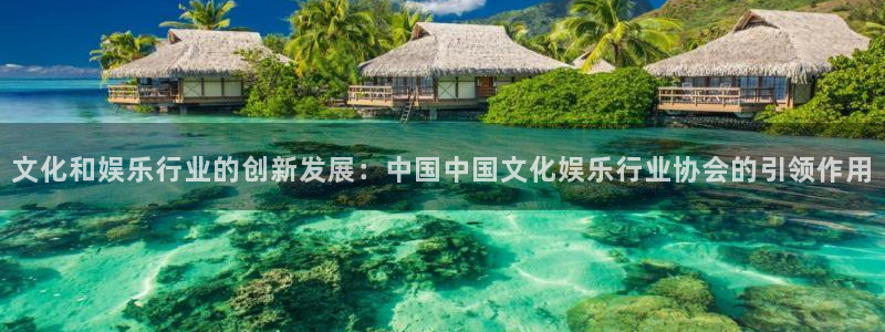 恒盛娱乐下载：文化和娱乐行业的创新发展：中国中国文化娱乐行业协会的引领作用