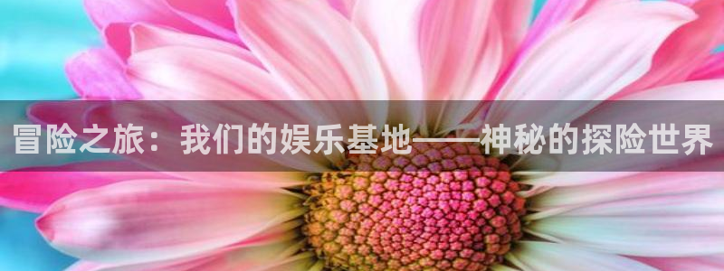 恒盛娱乐登陆：冒险之旅：我们的娱乐基地——神秘的探险世界